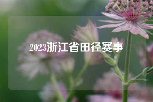 2023浙江省田径赛事