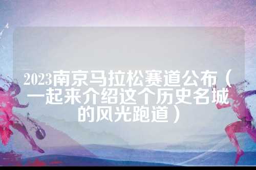 2023南京马拉松赛道公布（一起来介绍这个历史名城的风光跑道）