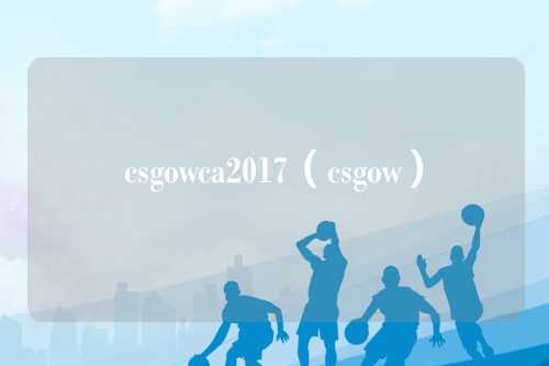 csgowca2017（csgow）