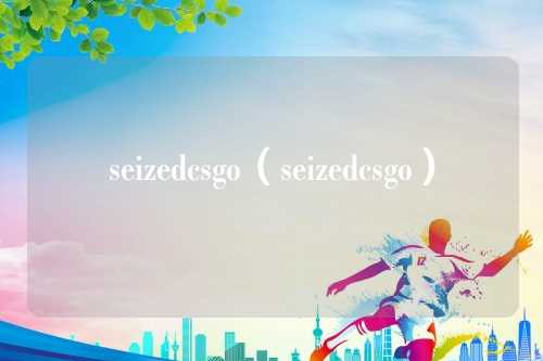 seizedcsgo（seizedcsgo）