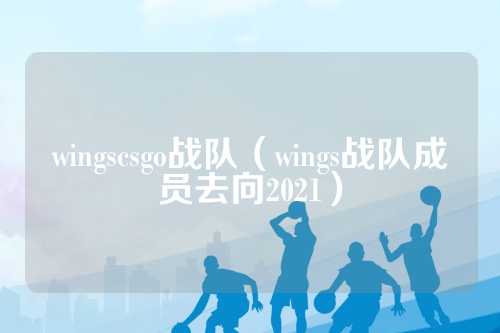 wingscsgo战队（wings战队成员去向2021）
